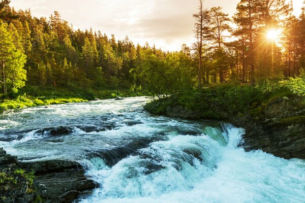 Il est intéressant d observer la rivière avec de tels rapides