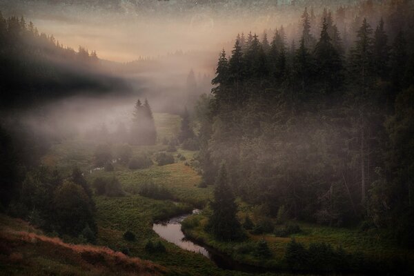 Nebel am Fluss im Böhmerwald