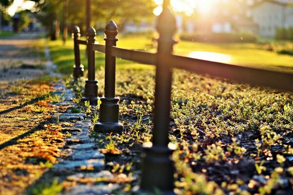 Puesta de sol de otoño en el parque de la ciudad