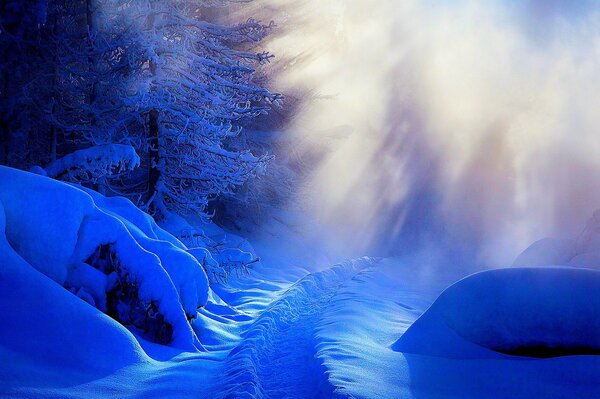 Paisaje de invierno iluminado con luz brillante