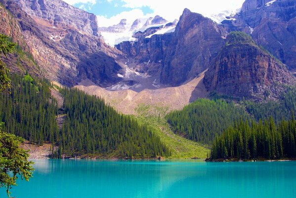 Il lago in Canada è un posto fantastico con foresta e montagne