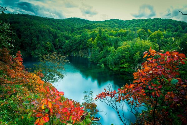 Poland has very beautiful lakes, trees, old las