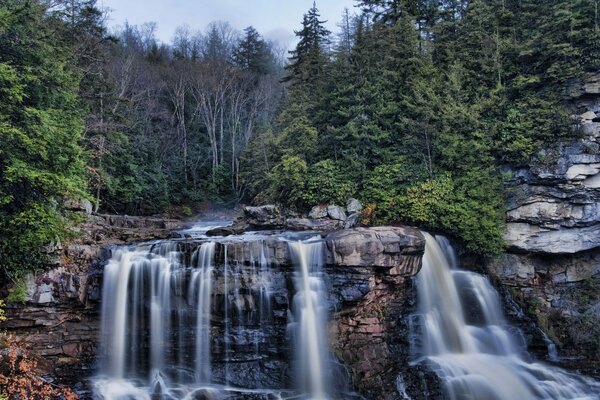 Cascada desde un acantilado contra un bosque oscuro