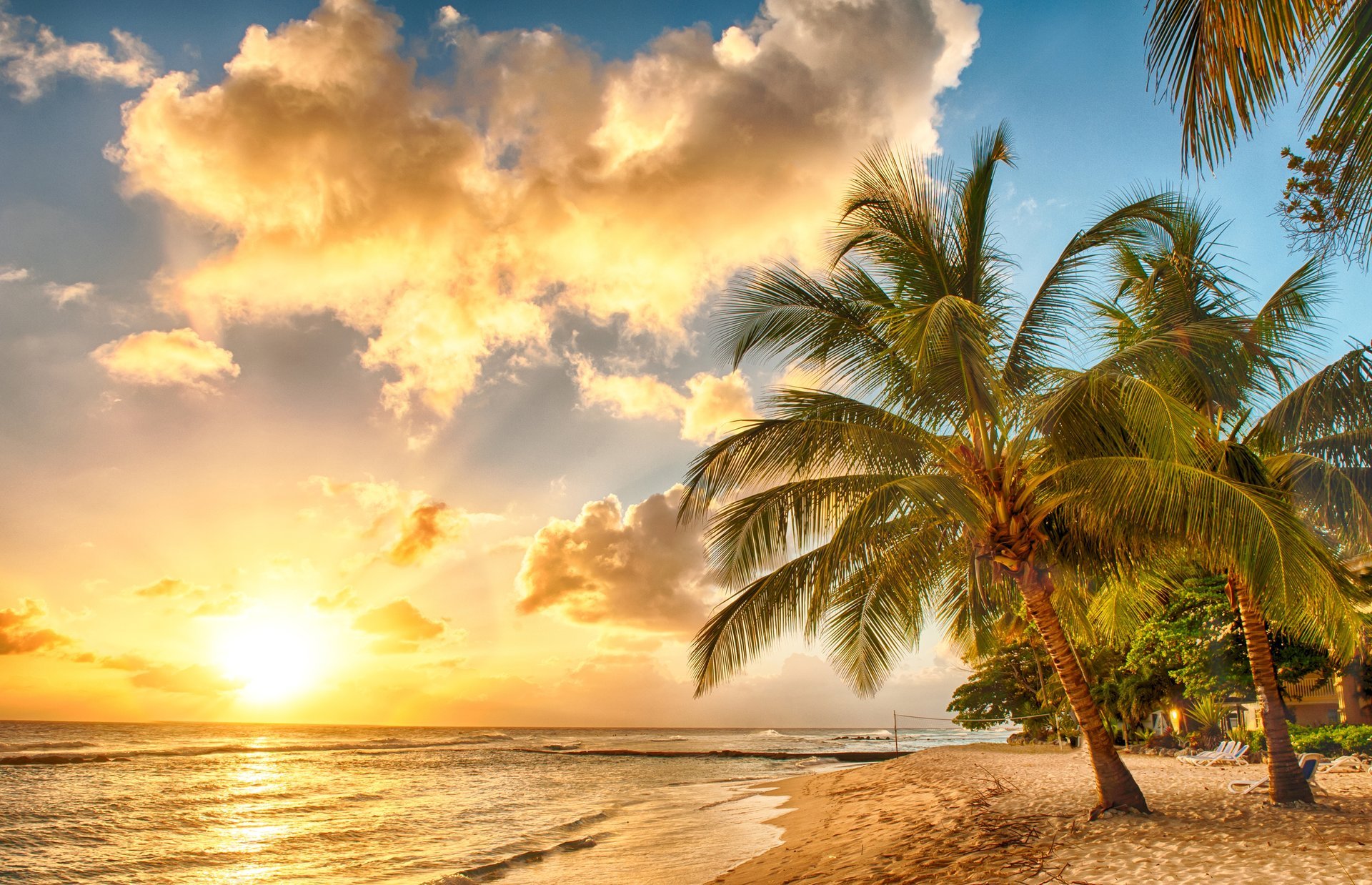 tropisch paradies strand palmen meer ozean sonnenuntergang tropen sand ufer