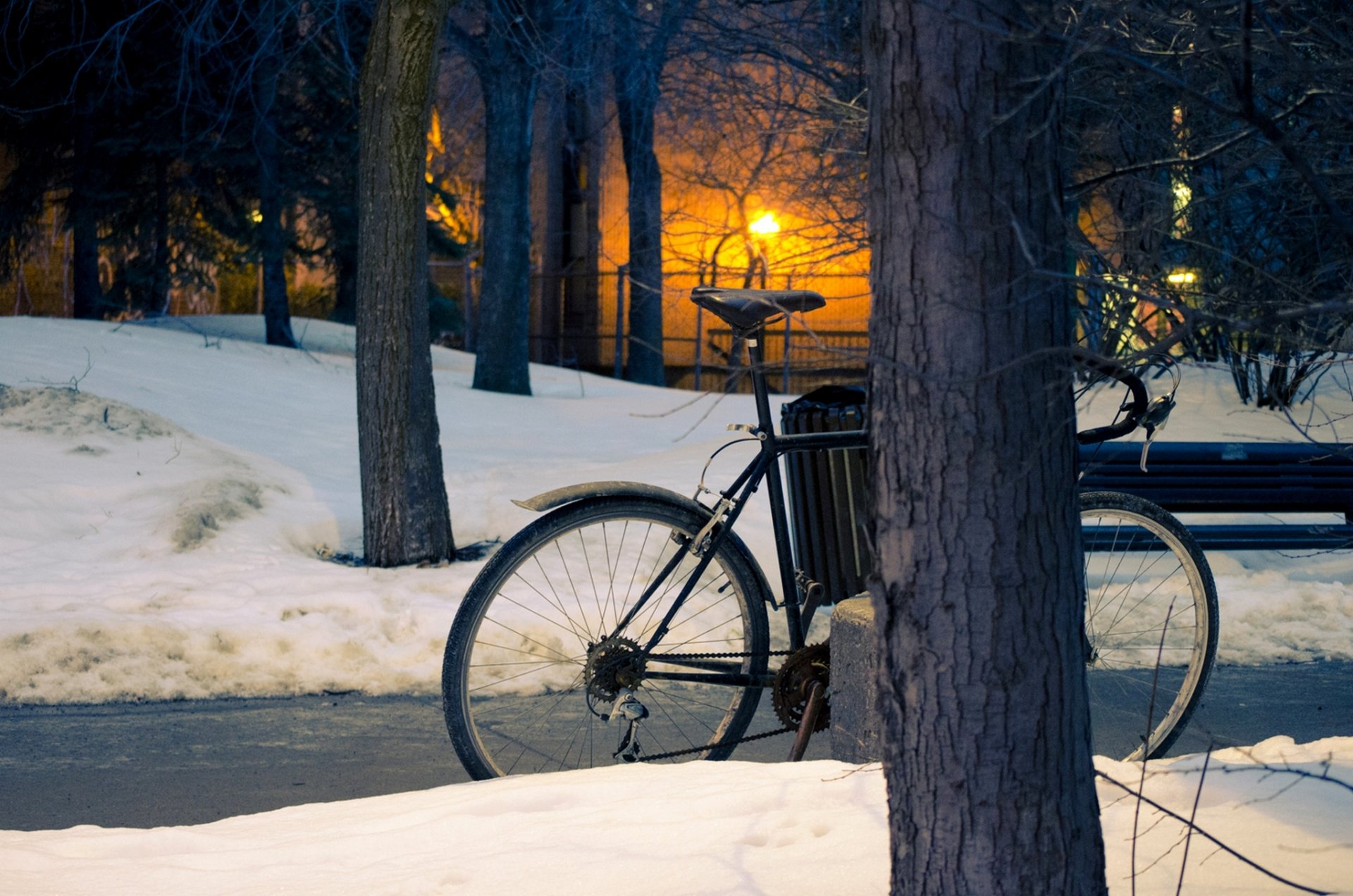 winter park neve strada alberi sole tramonto parco inverno