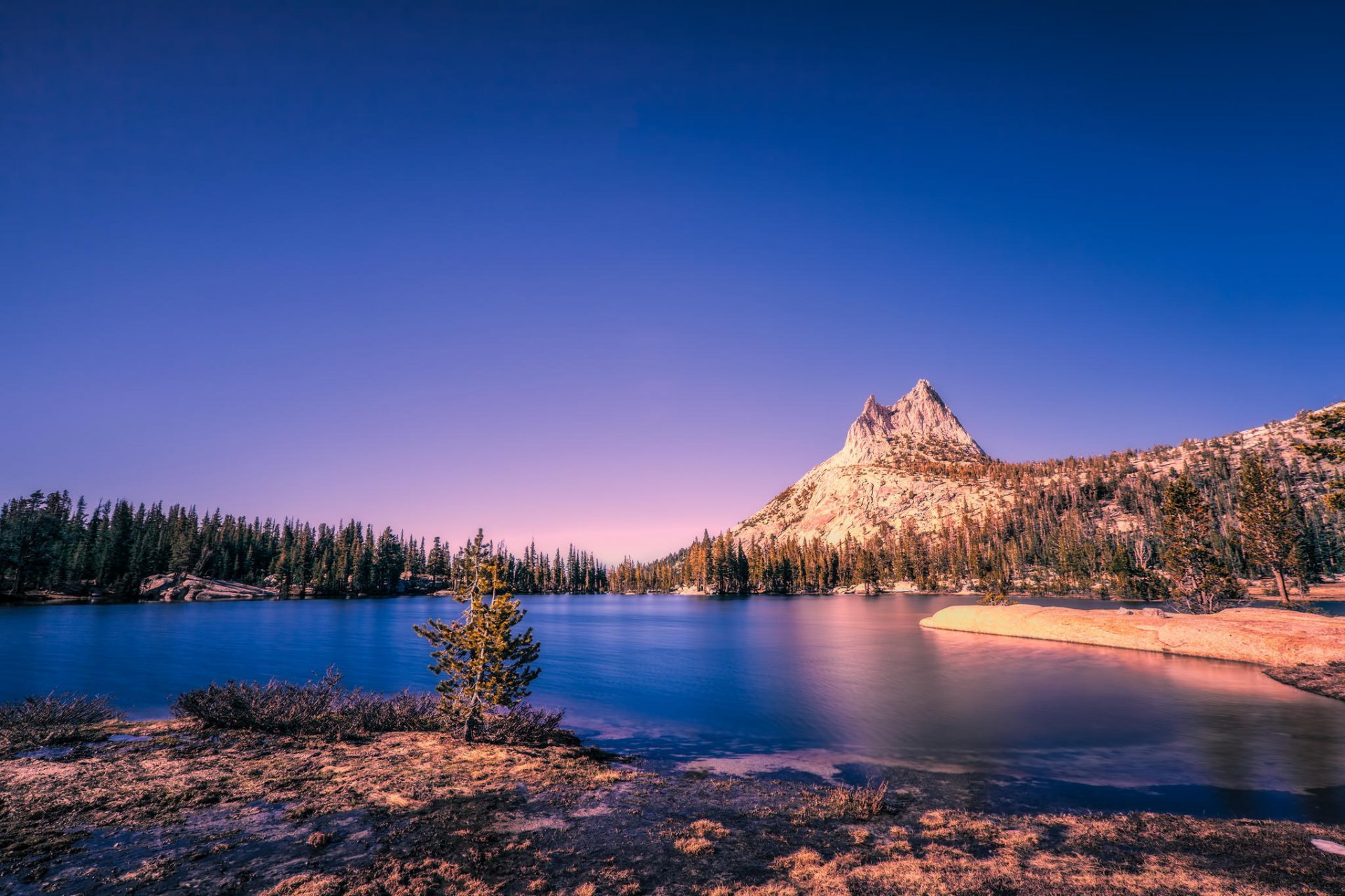 mountain snow forest lake reflection nature