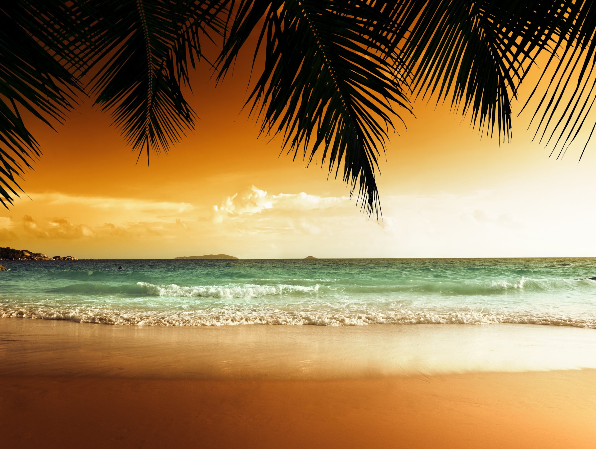 tropical paradise beach palms sea ocean sunset palm tropics sand