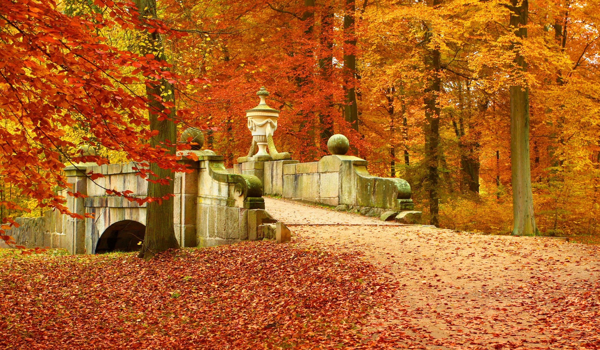 nature paysage pont feuilles arbres automne forêt