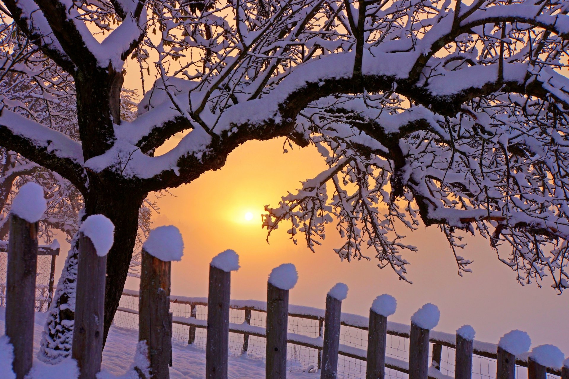 natura inverno neve cielo paesaggio inverno bianco fresco bello tramonto