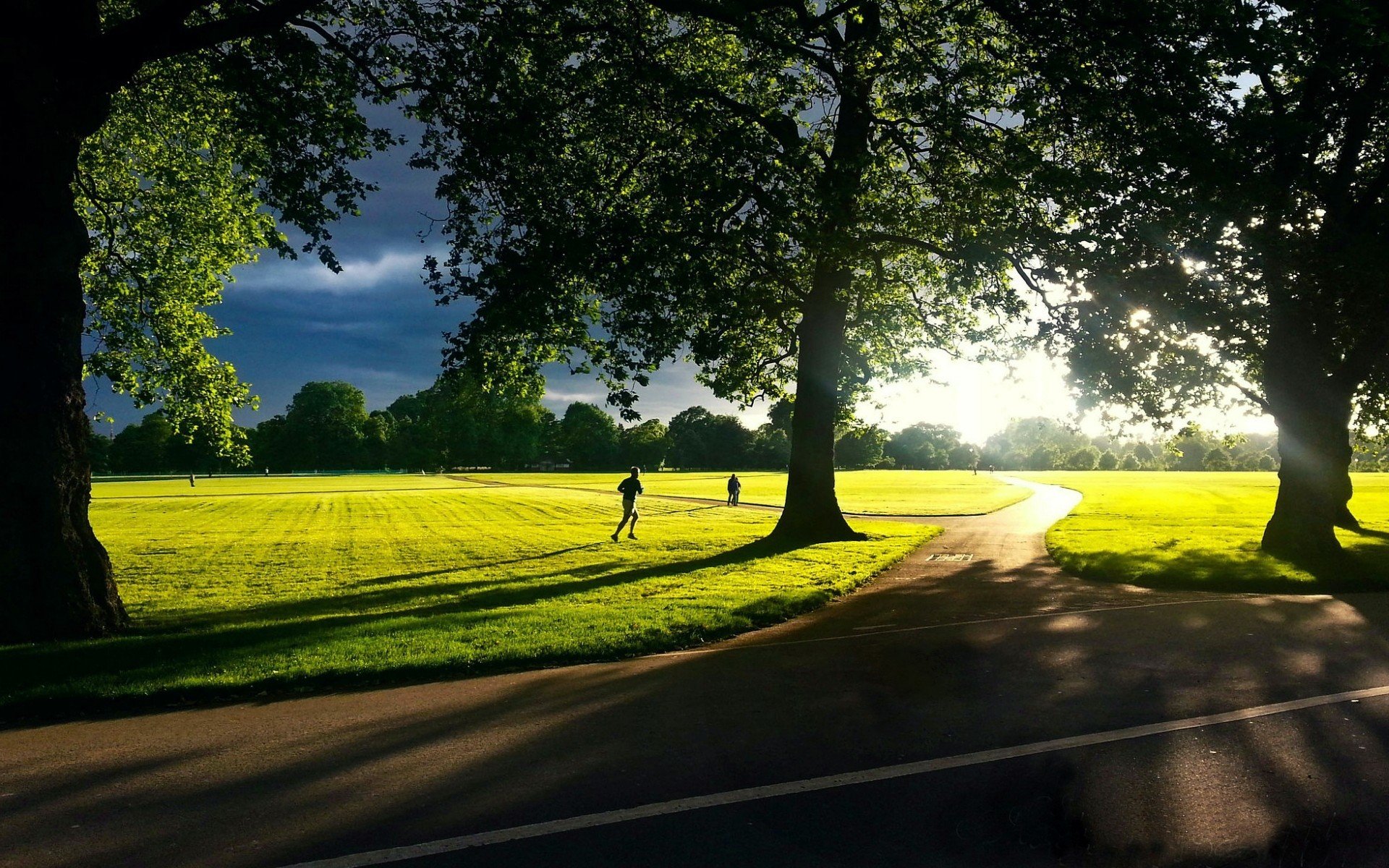 naturaleza paisaje hombre hombre chico correr movimiento vegetación hierba prado árboles sol fondo fondo de pantalla pantalla ancha pantalla completa pantalla ancha camino sombra día cielo follaje árbol humano yo