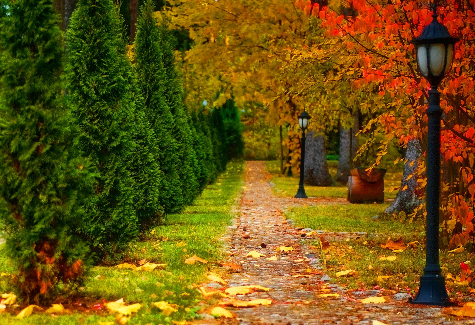 naturaleza paisaje otoño carretera árboles linterna hojas