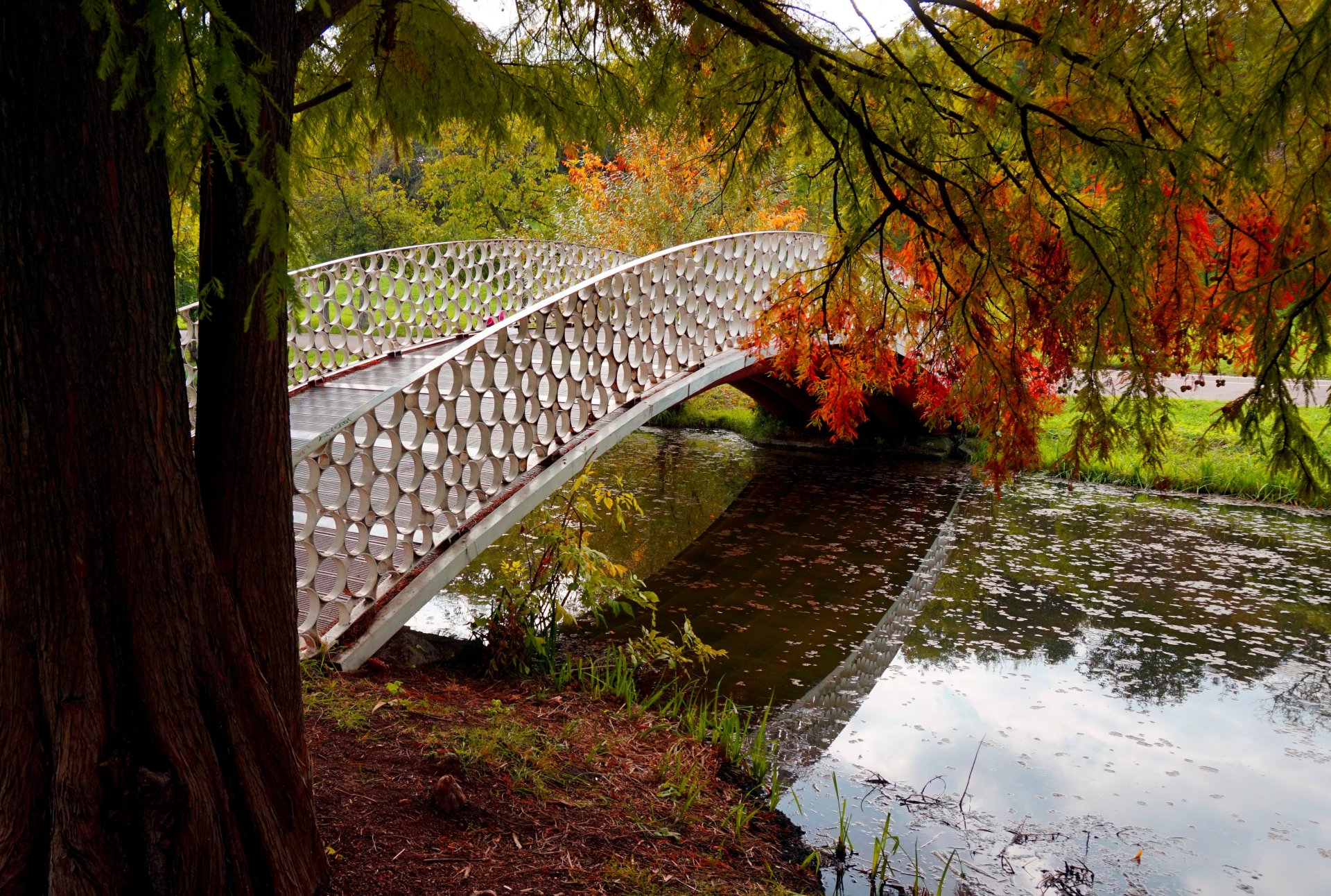 natur fluss wasser wald park bäume blätter bunt herbst herbst farben zu fuß berge himmel