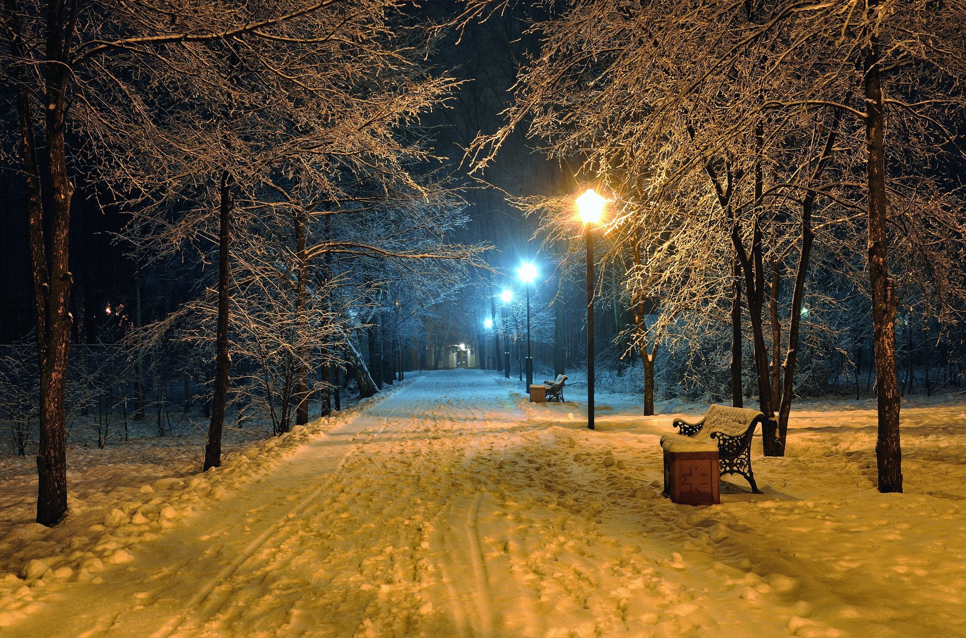 romantischer abend bänke bänke winterschneepark straße park natur schöne szene landschaft laternenmast lampen nacht mitternacht laternen bank winterschneepark