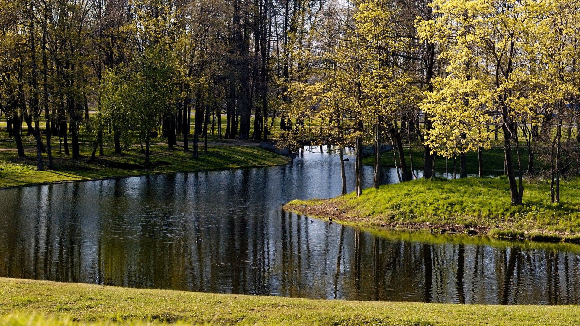 park bäume teich see fluss herbst gras blätter