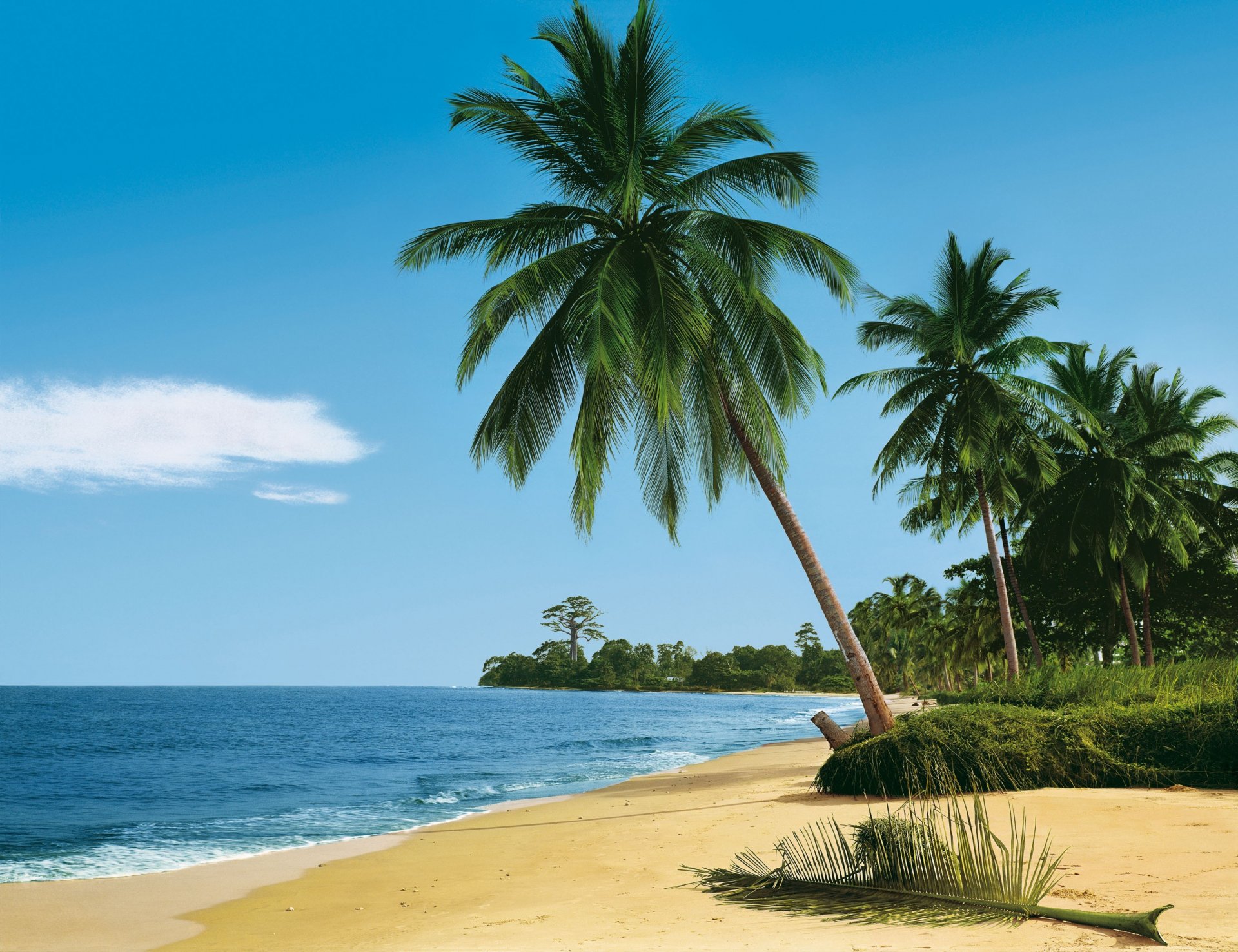 himmel meer sand palme erholung erholung