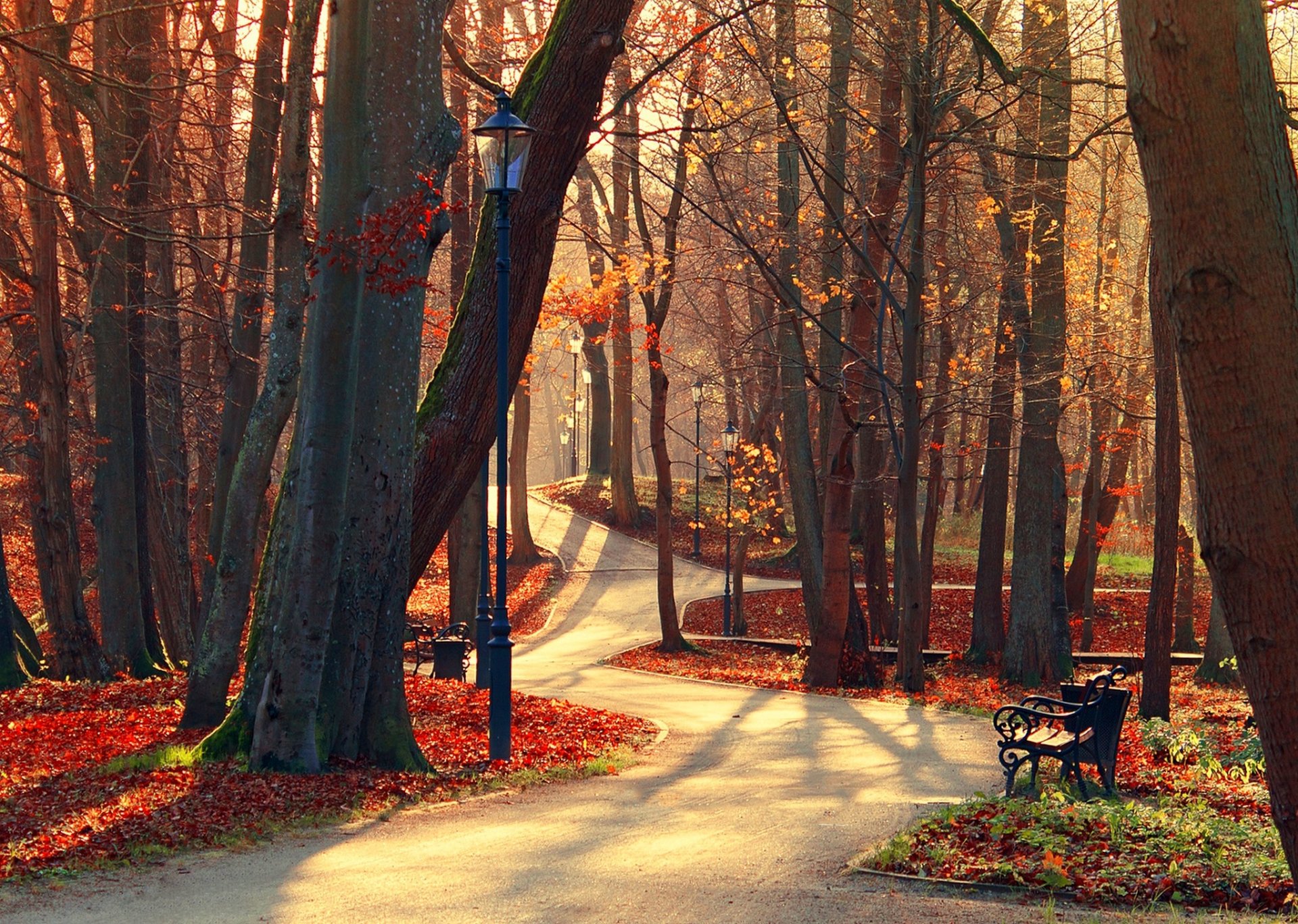 blätter park gasse bäume wald herbst zu fuß hdr natur stand ansicht fallen bank ansicht