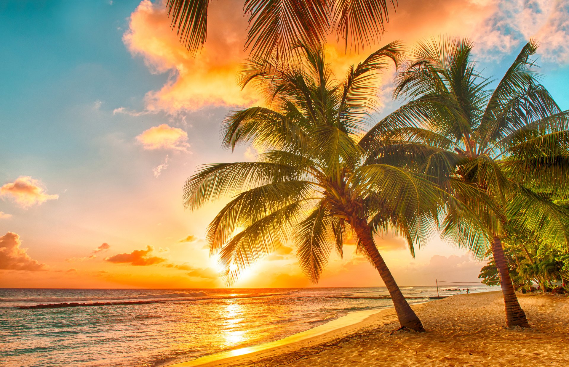 tropisch paradies strand palmen meer ozean sonnenuntergang tropen sand ufer