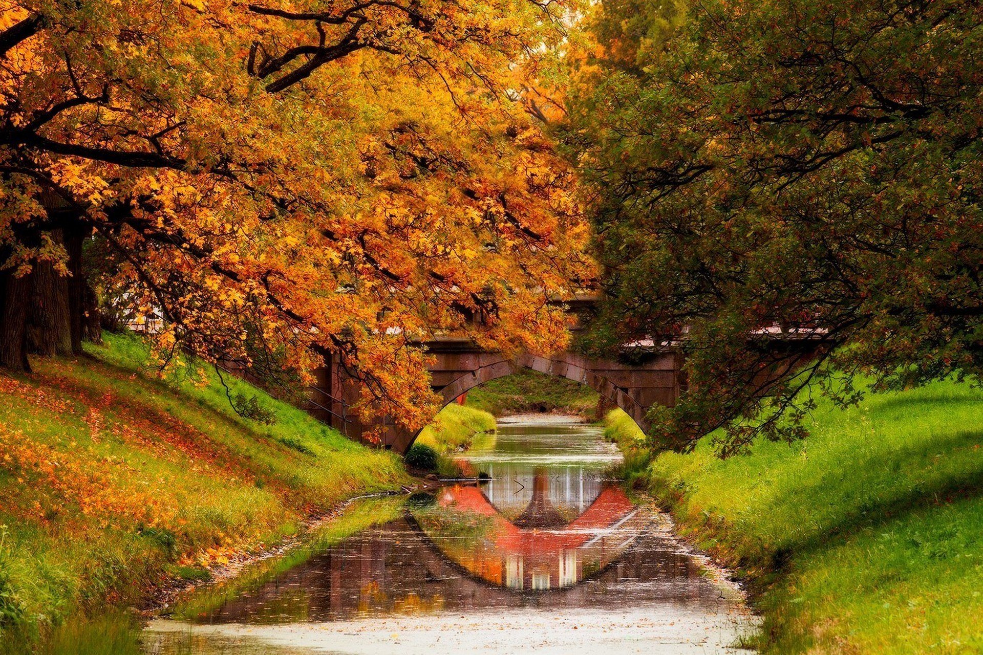 natura fiume acqua foresta parco alberi foglie colorato autunno caduta colori passeggiata natura montagne cielo fiume