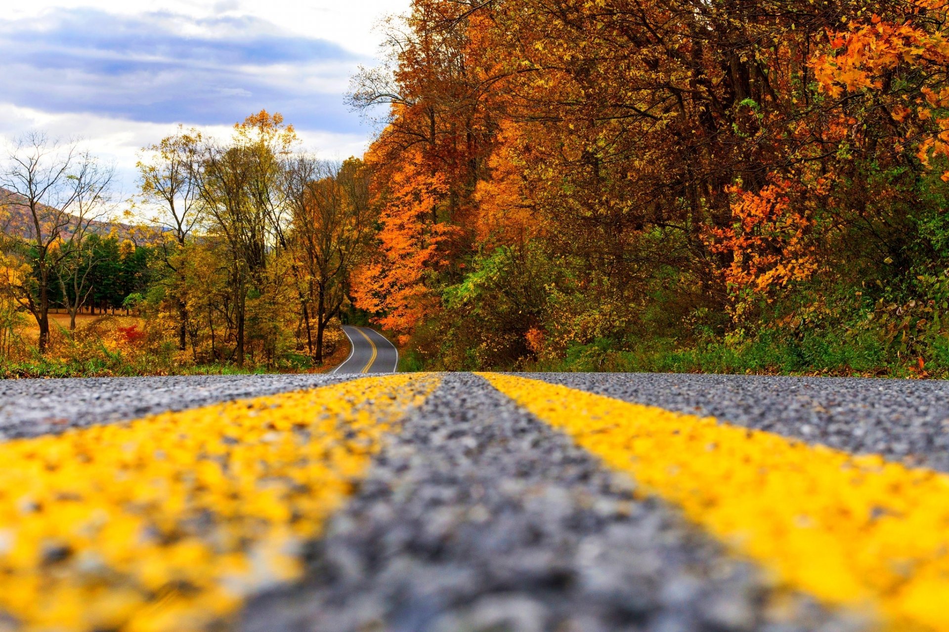 natur wald park bäume blätter bunt straße herbst herbst farben zu fuß