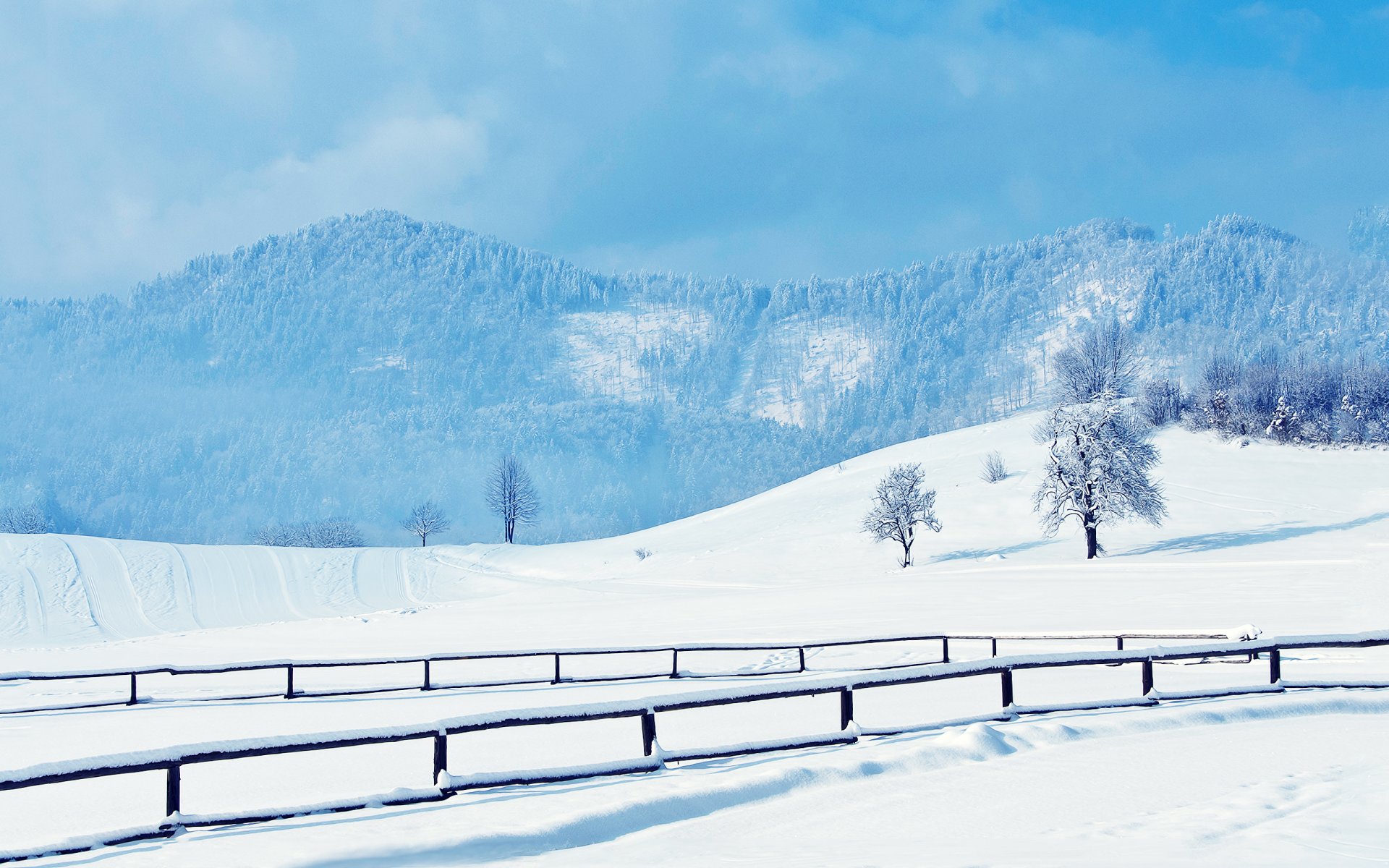 inverno neve colline sentieri strada ringhiere alberi