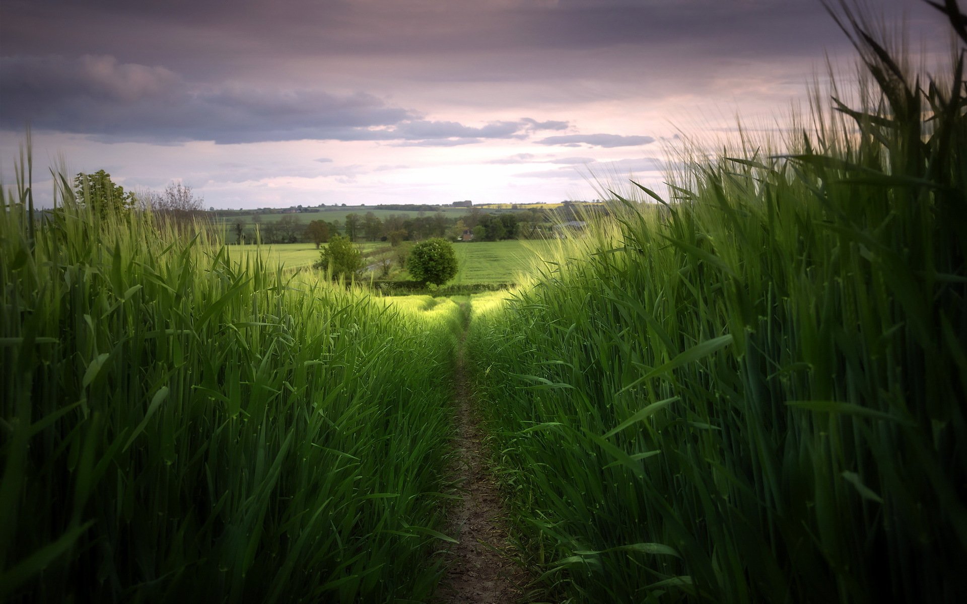 feld straße natur landschaft