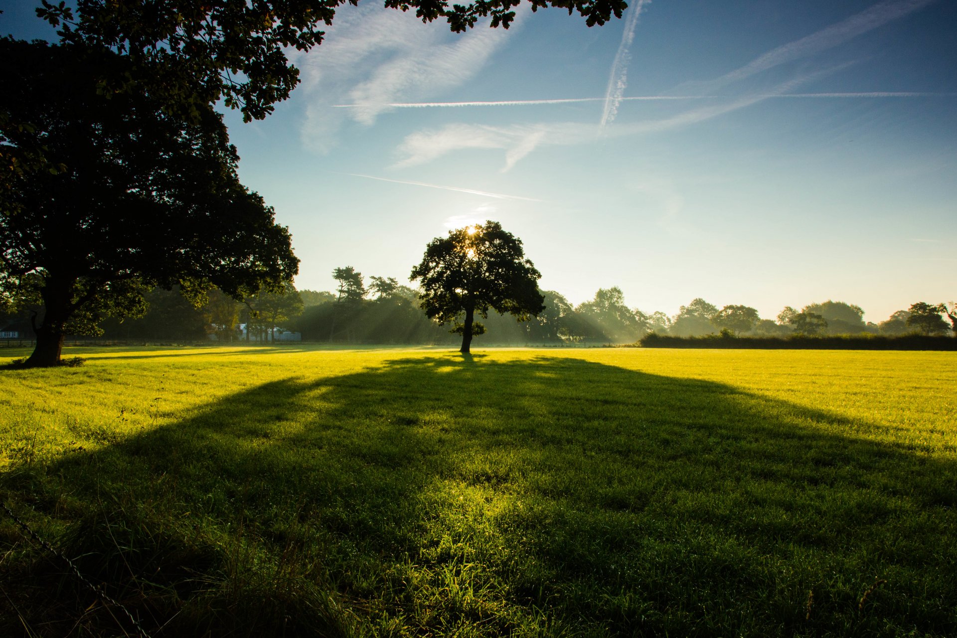 alberi parco campo prato erba verde cielo nuvole