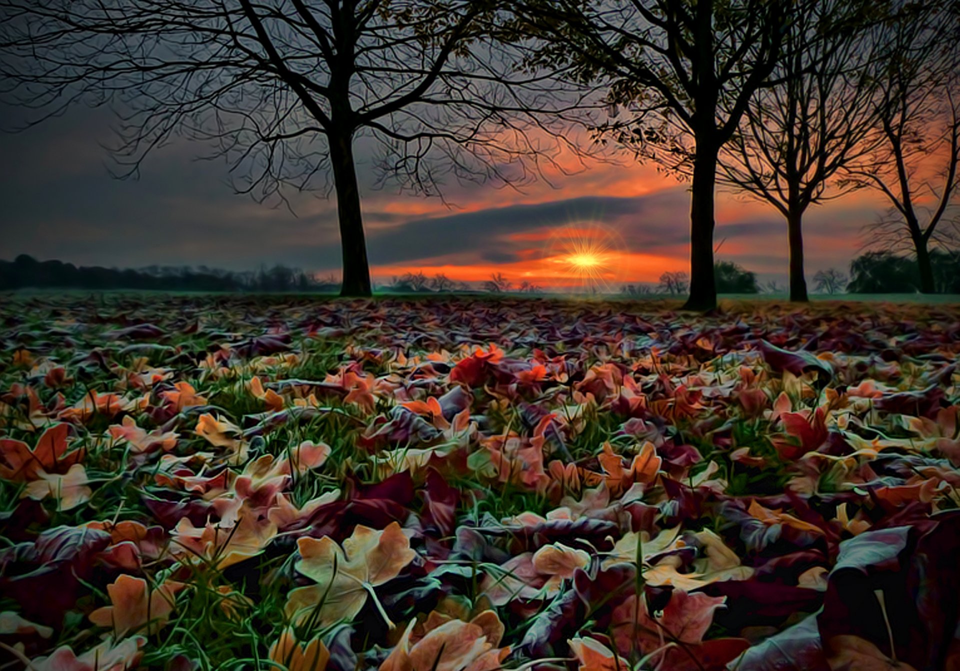 natur landschaft wald herbst bäume blätter