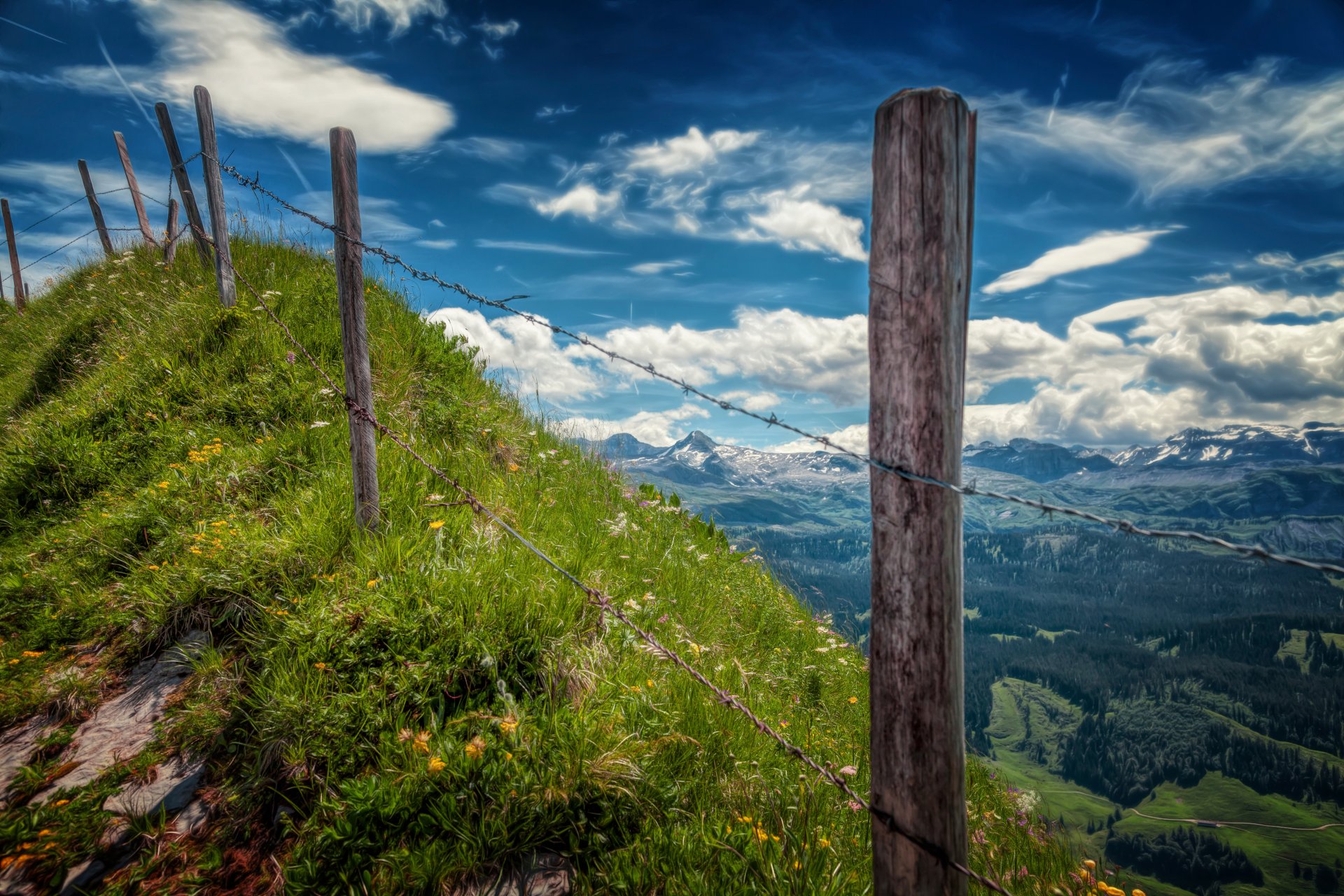 landscape views fencing thorn