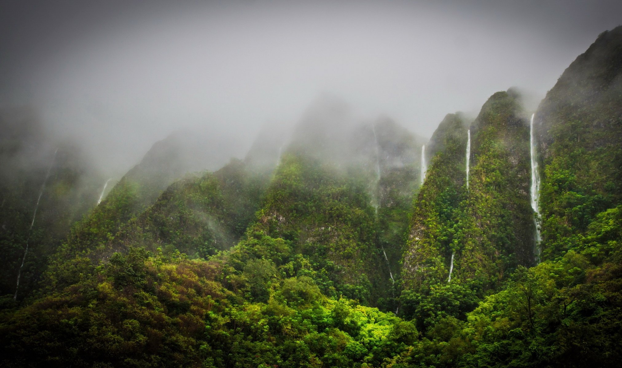 montagnes cascades végétation brouillard