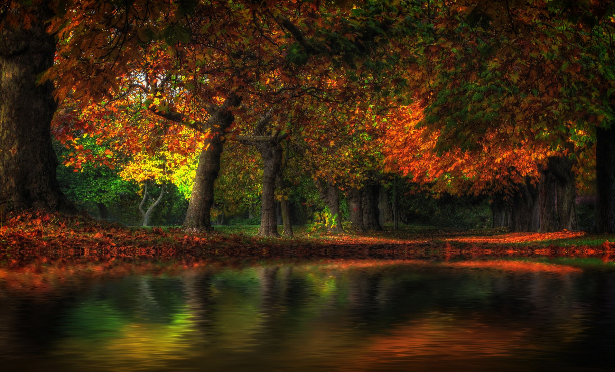 las park drzewa jesień staw