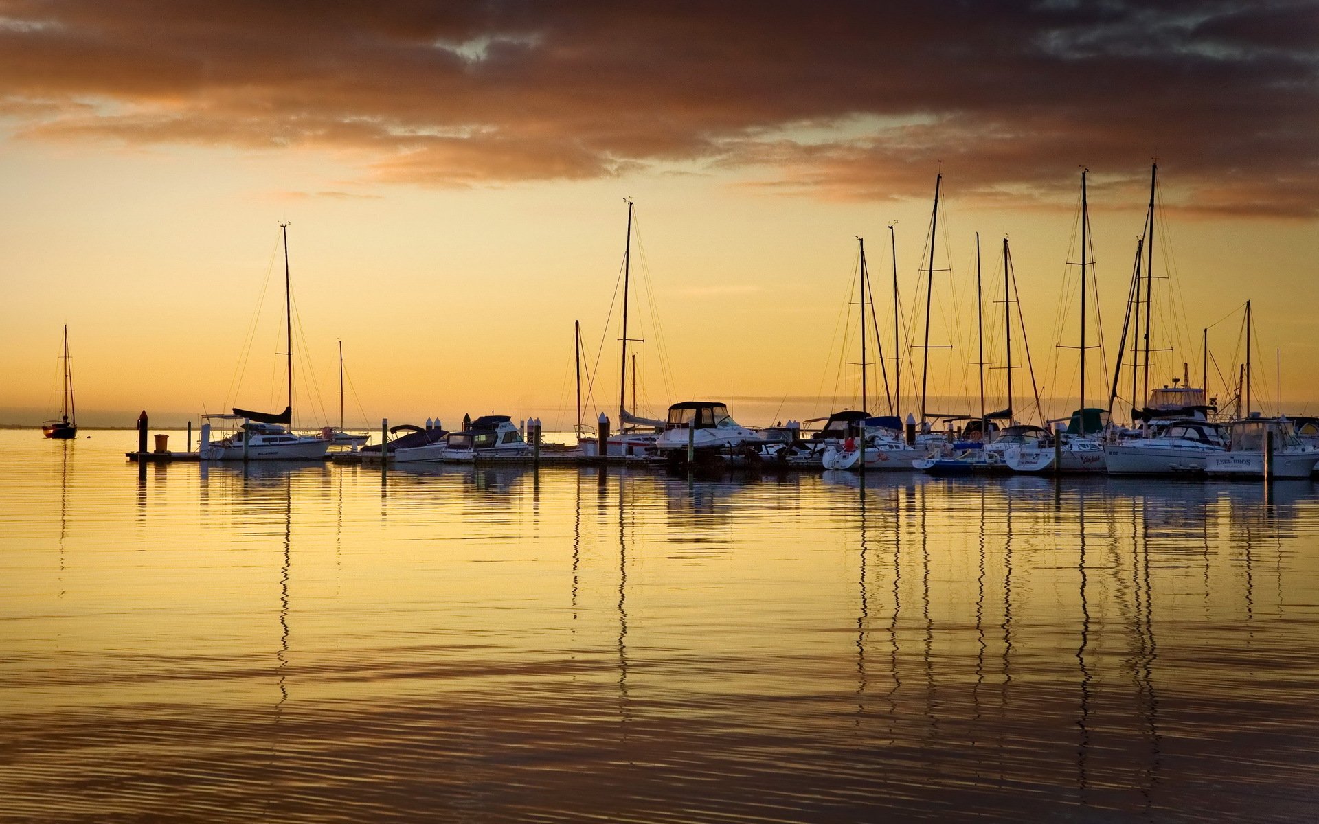 ailing yacht sea horizon sky photo