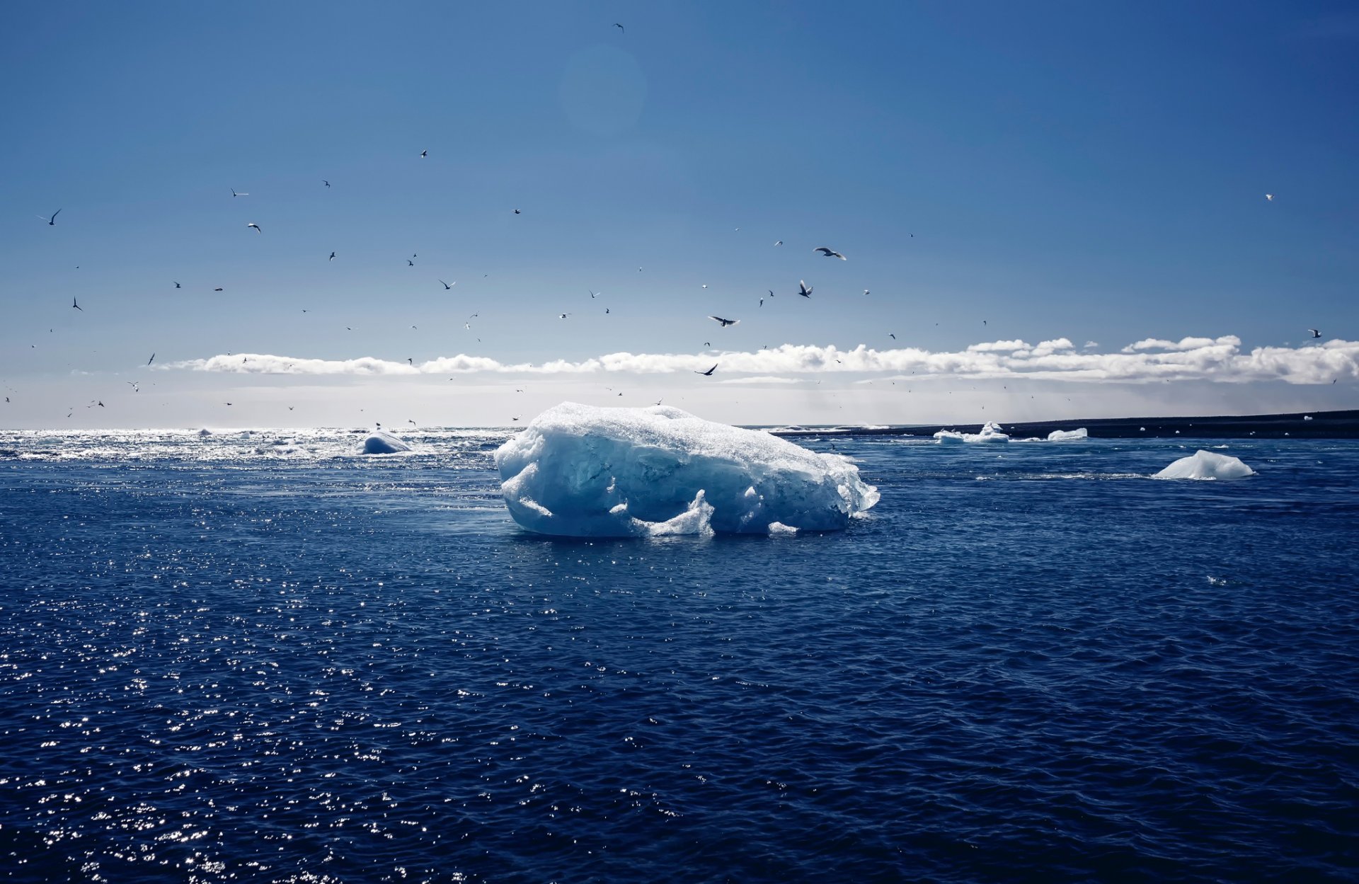 jökulsárlón lagoon islande neige oiseaux