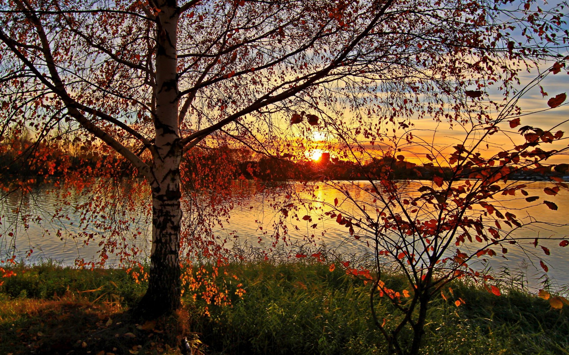 unset autumn nature