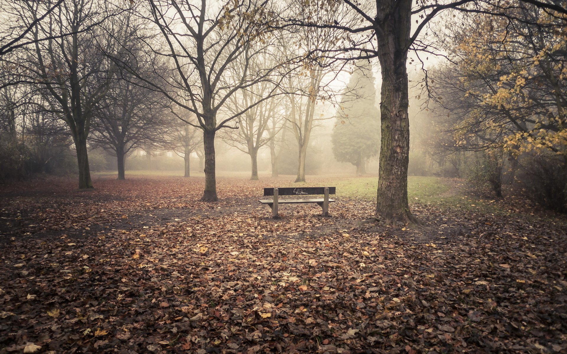 parc automne nature banc