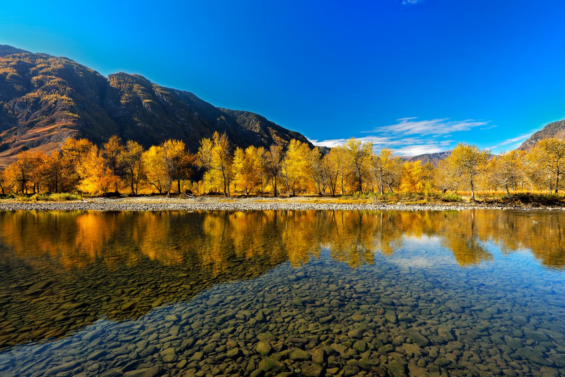 montaña altai otoño río reflexión