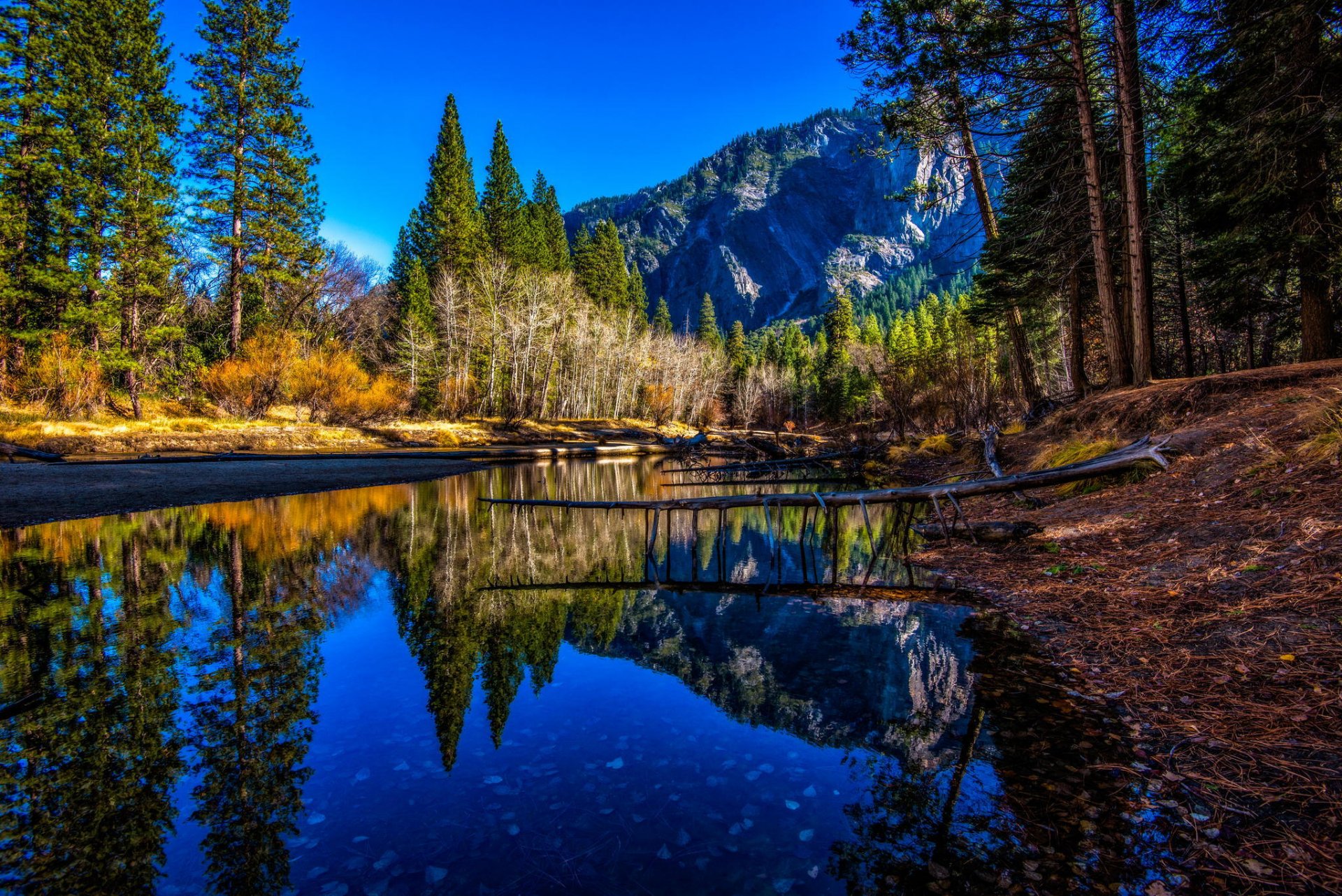 mountains river shore trees peaks yosemite national park yosemite National park usa