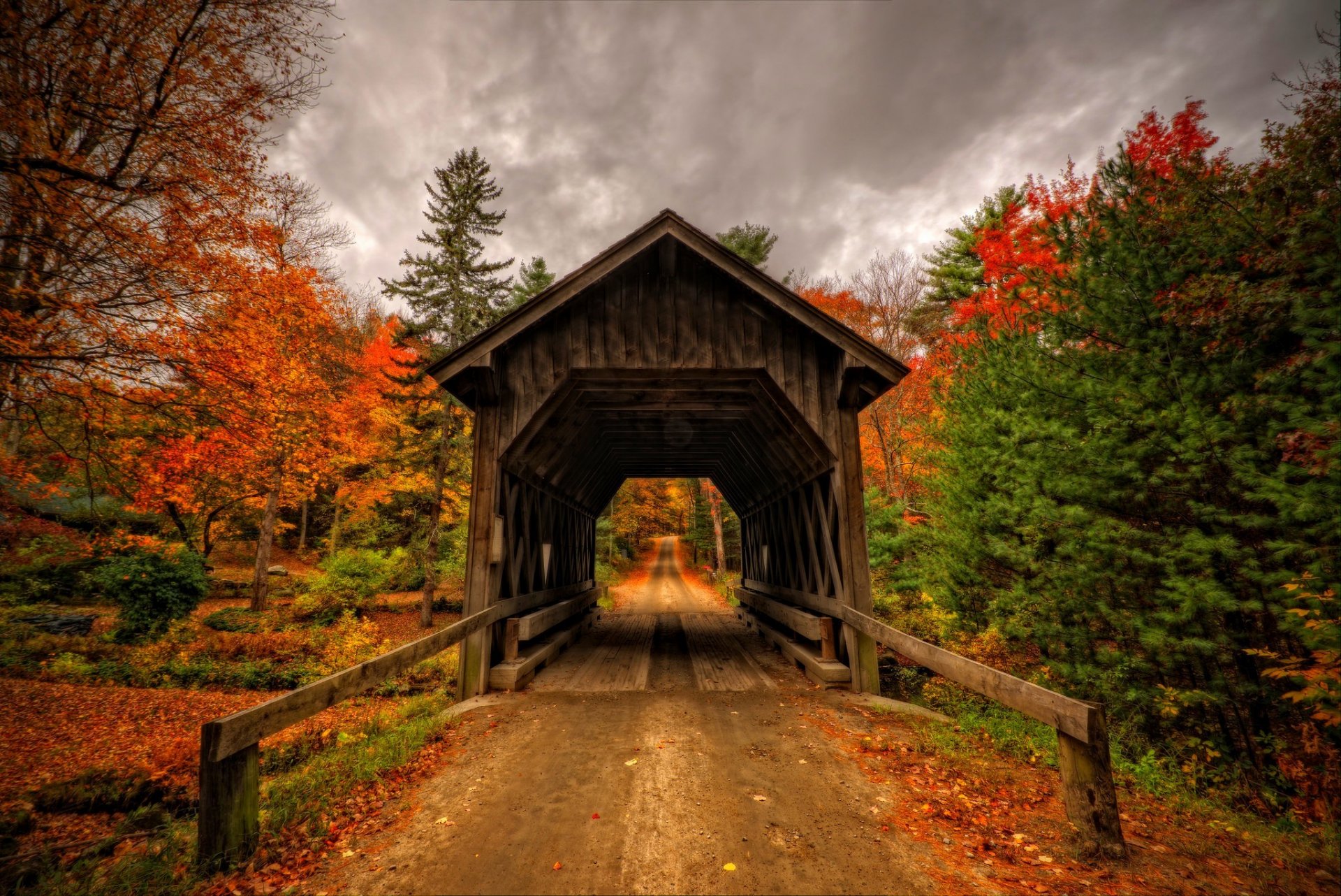 blätter park bäume wald herbst zu fuß natur ansicht fallen brücke ansicht