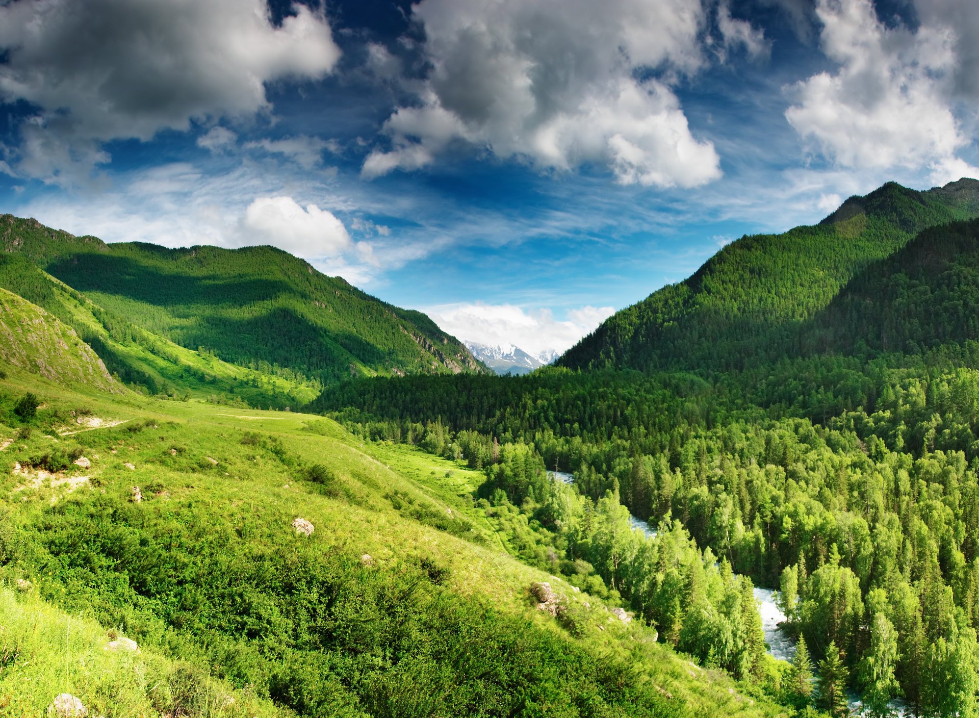 natur berge bäume fluss