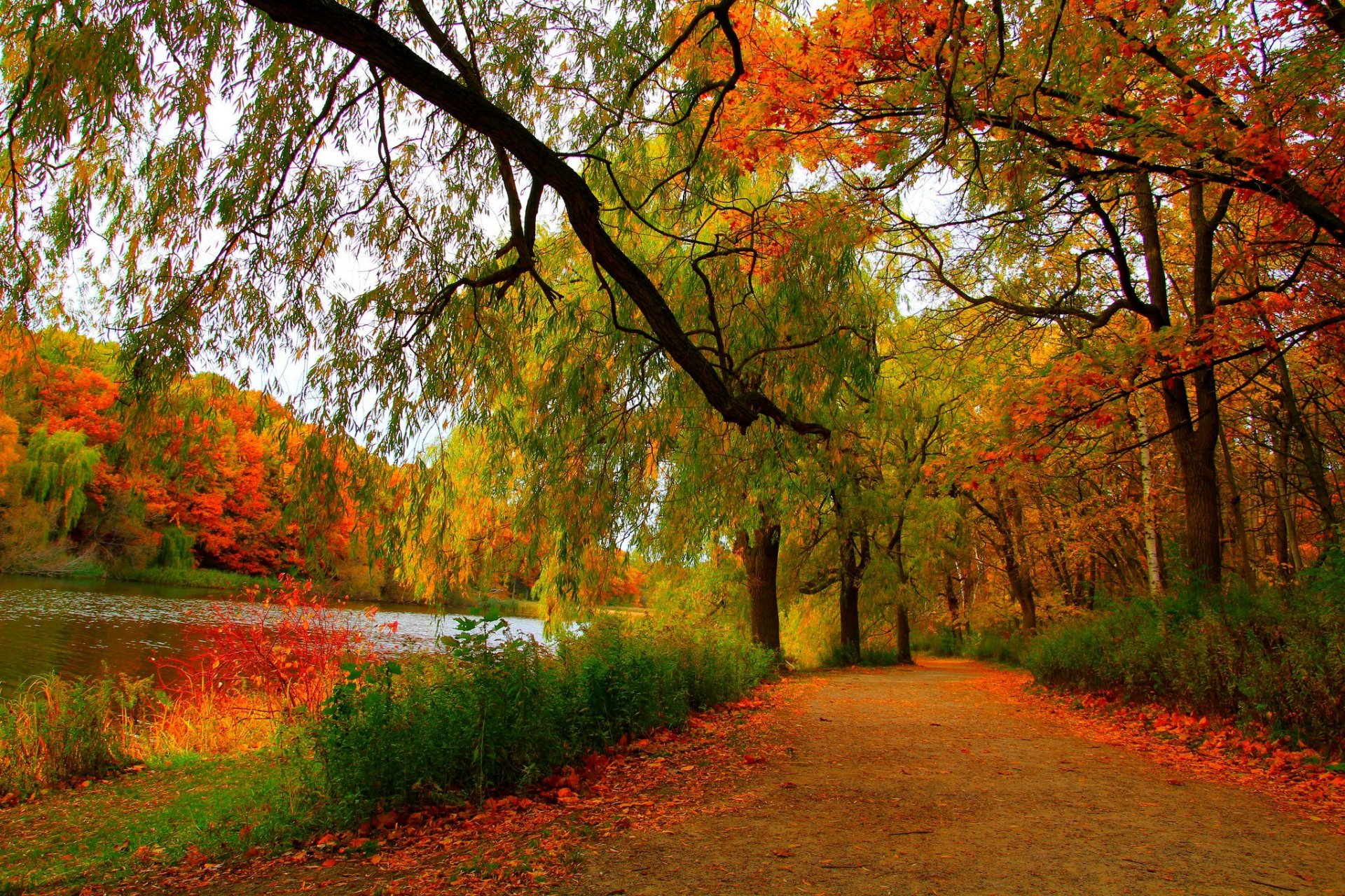 nature landscape forest trees autumn river autumn view