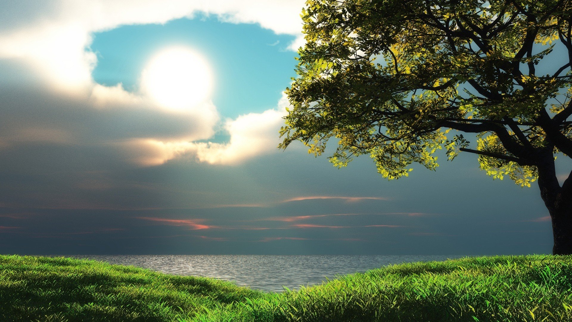 lac arbres ciel soleil. herbe nuages