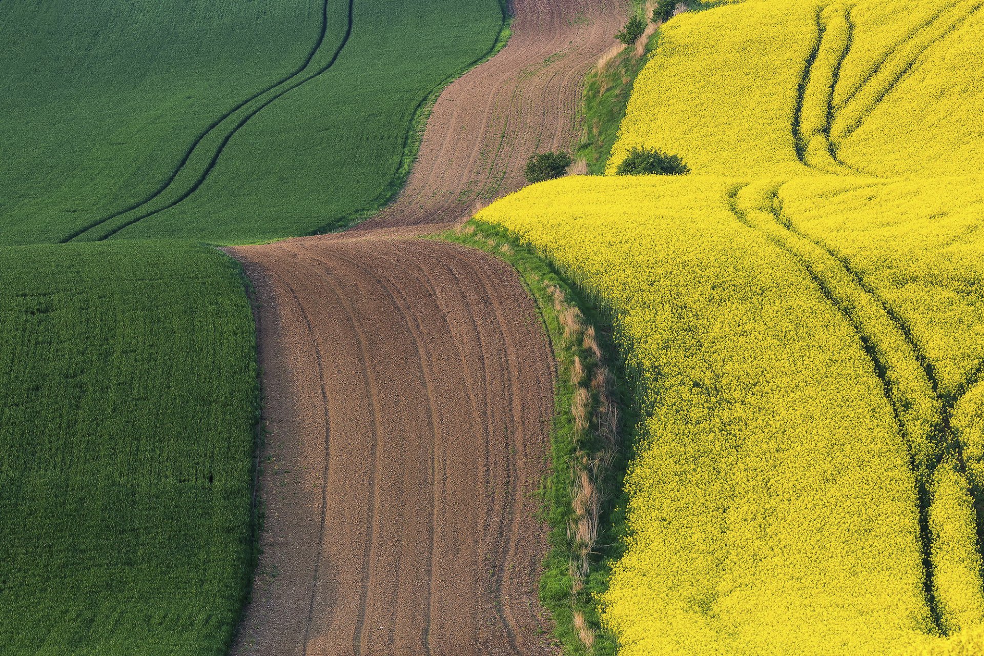 moravia repubblica ceca primavera