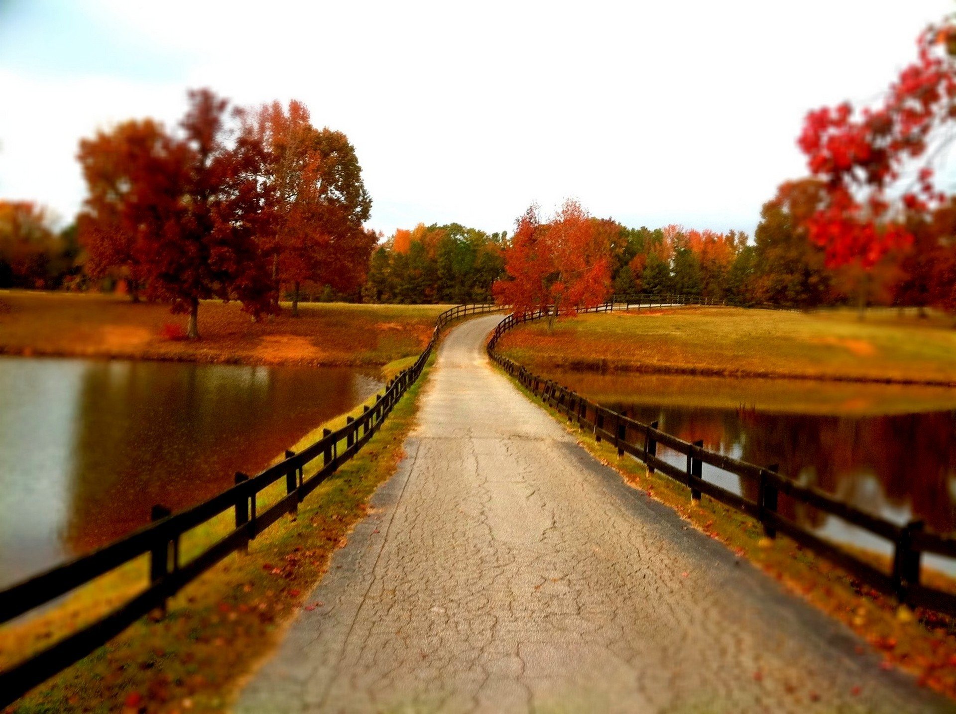 natur fluss wasser wald park bäume blätter bunt herbst herbst farben zu fuß natur berge himmel fluss