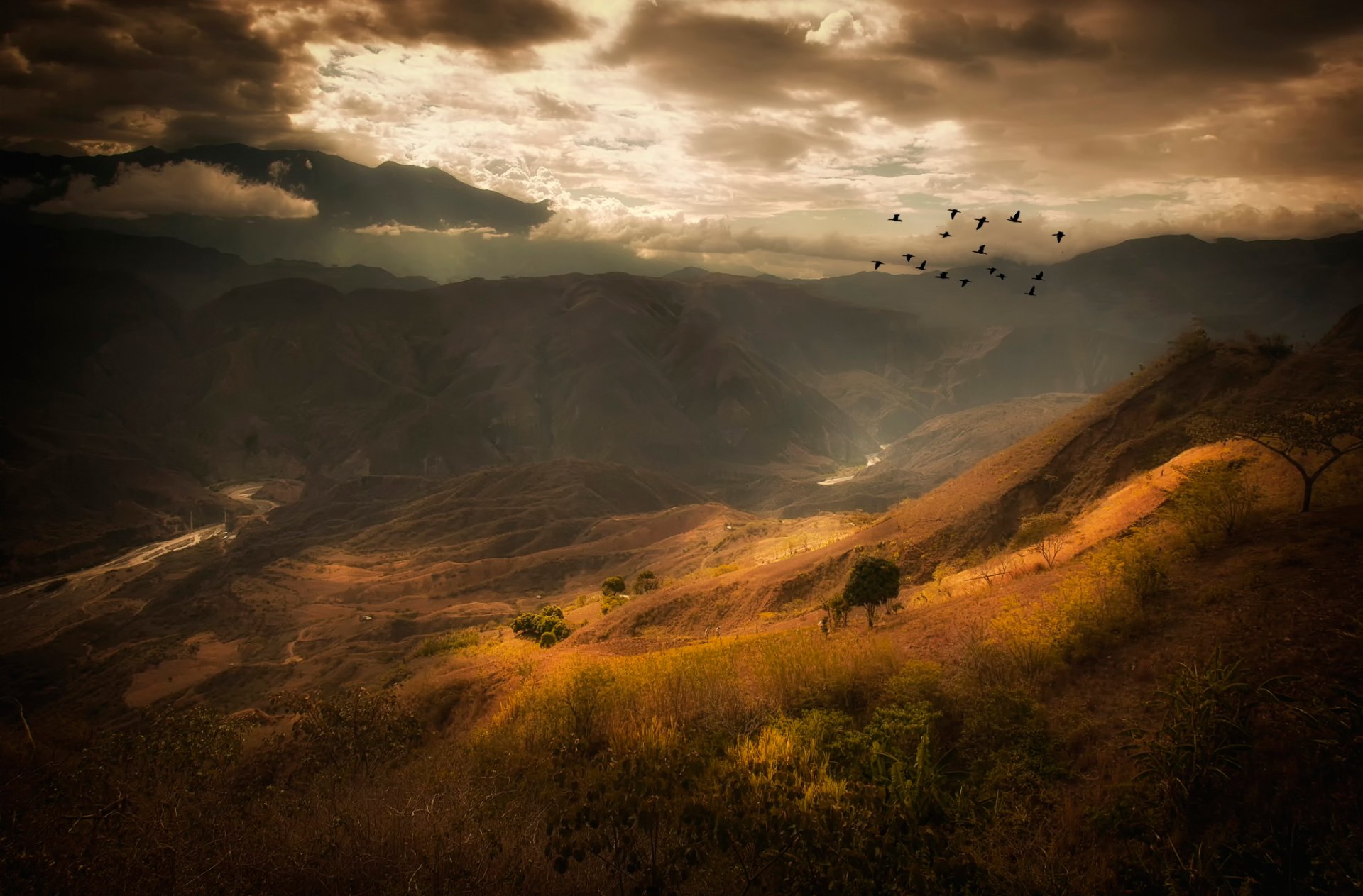 mountain clouds bird