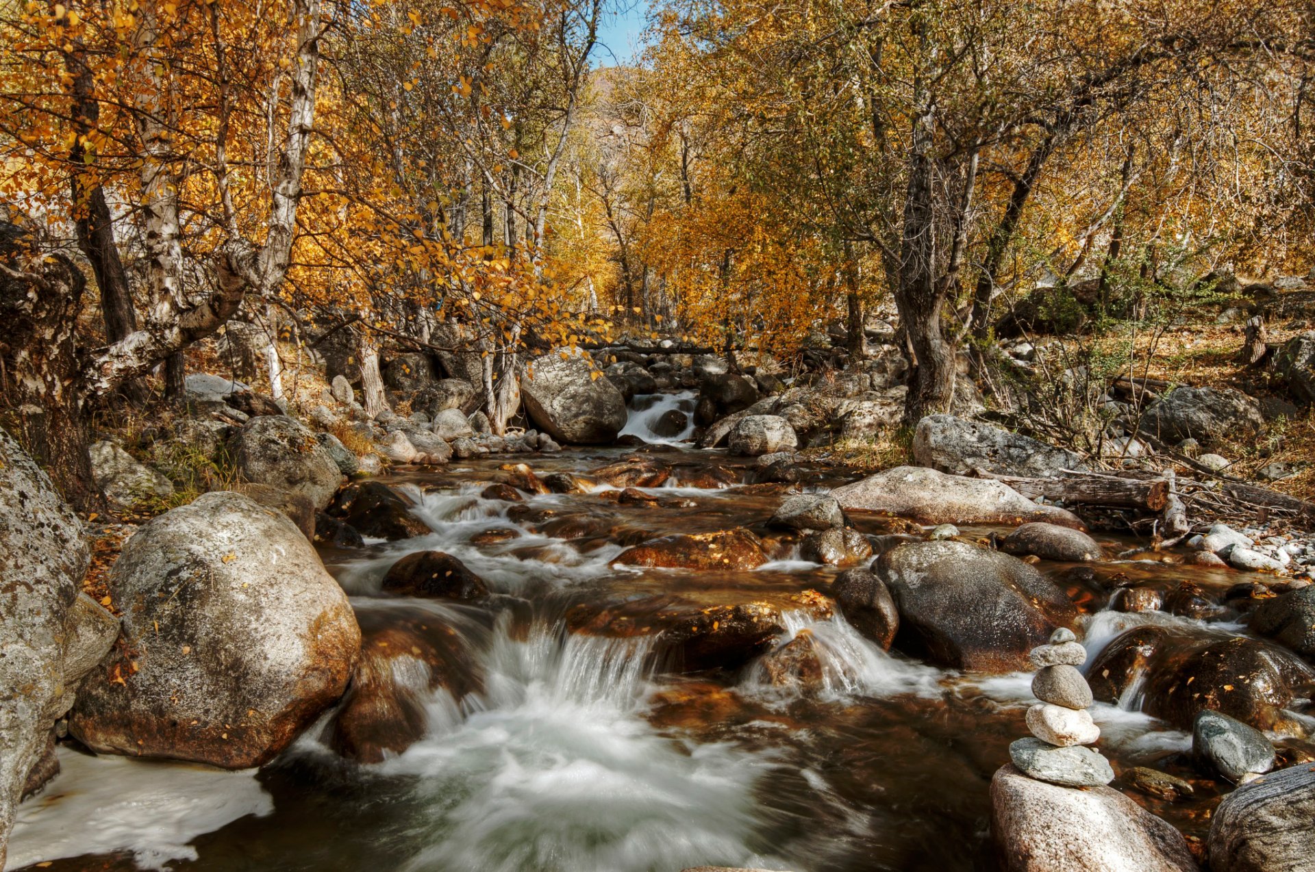 altai autunno ottobre 2014