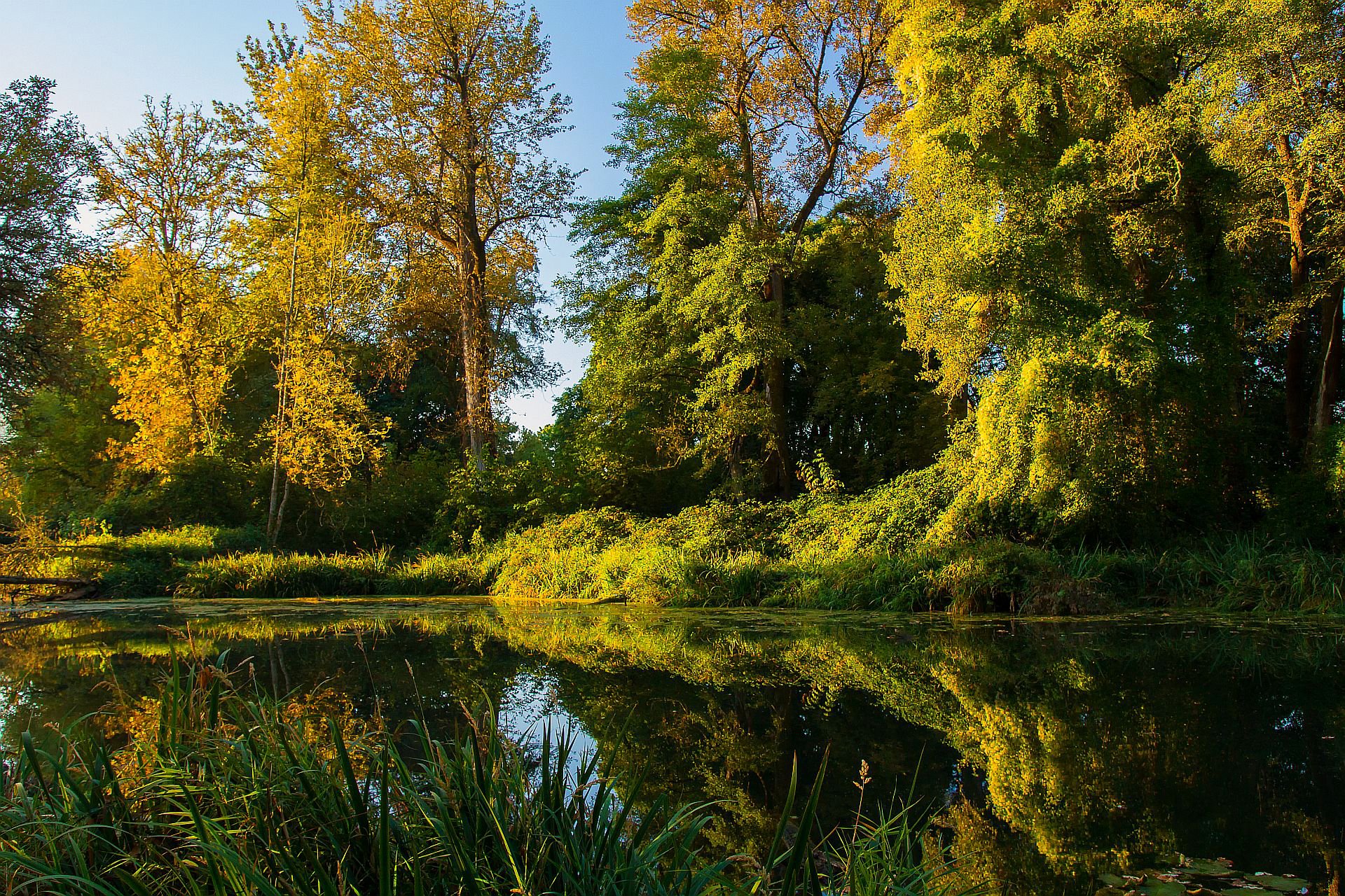 himmel wald bäume fluss landschaft