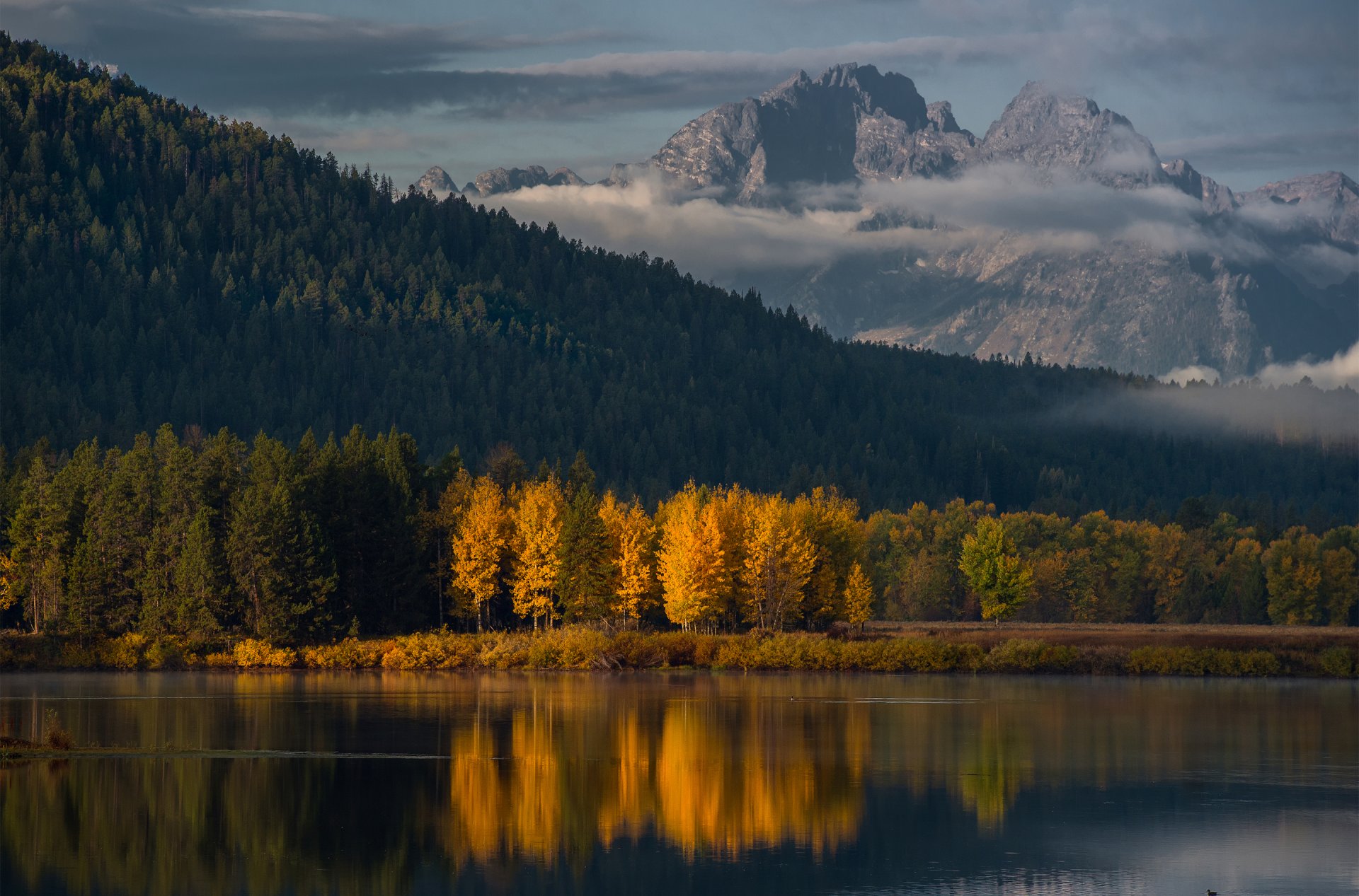 united states wyoming grand teton national park oxbow bend morning autumn forest mountain