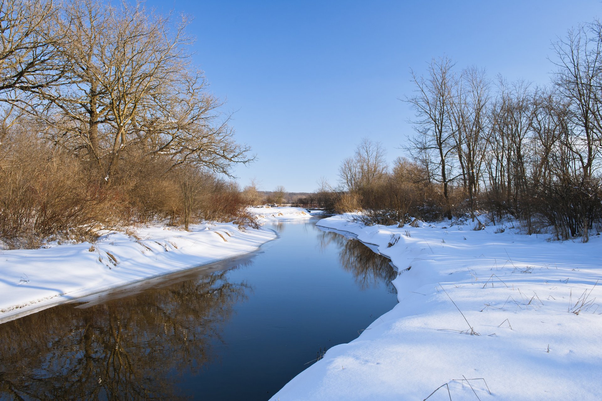 foresta fiume neve inverno calma