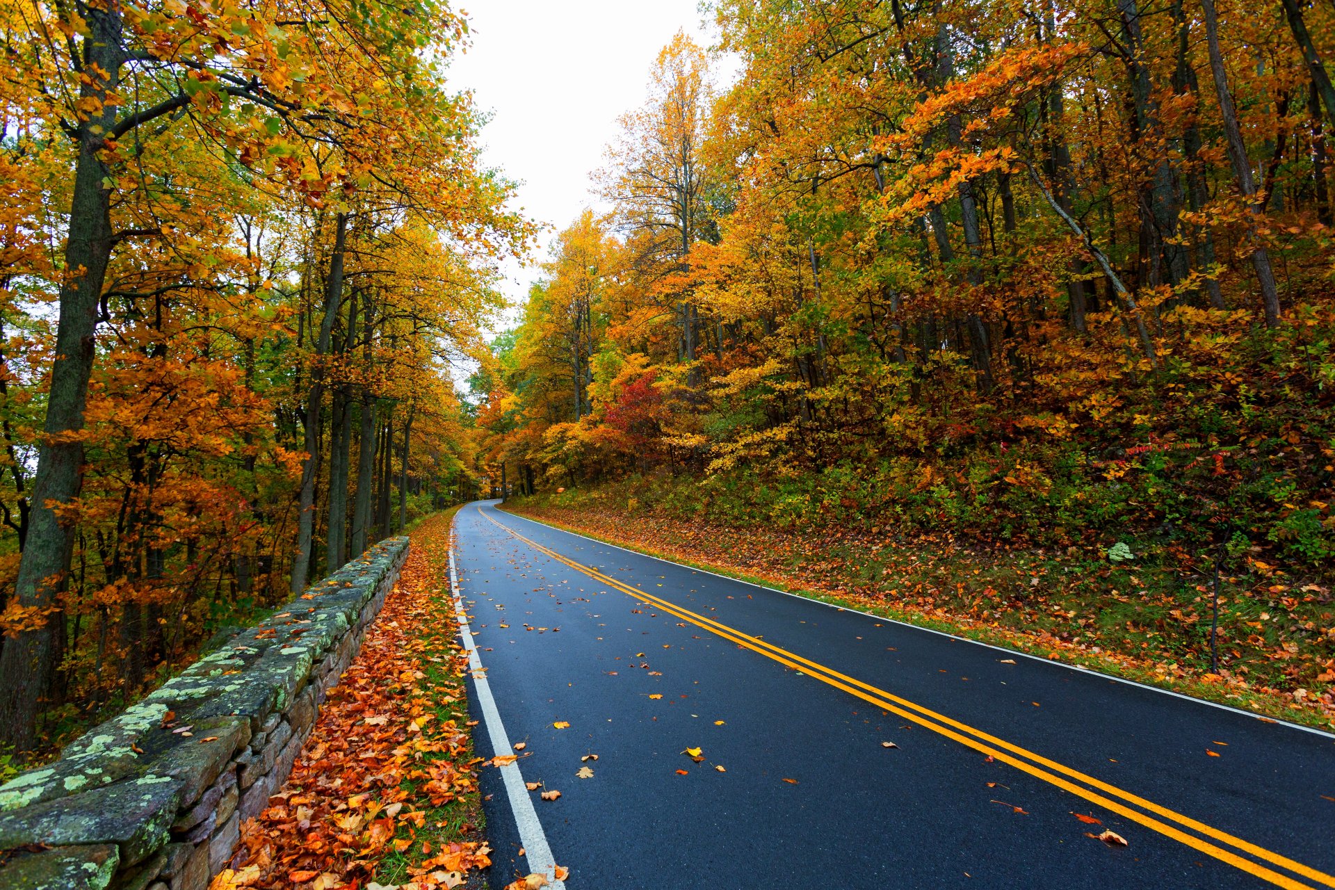 nature arbres montagne feuilles coloré route automne automne couleurs marche