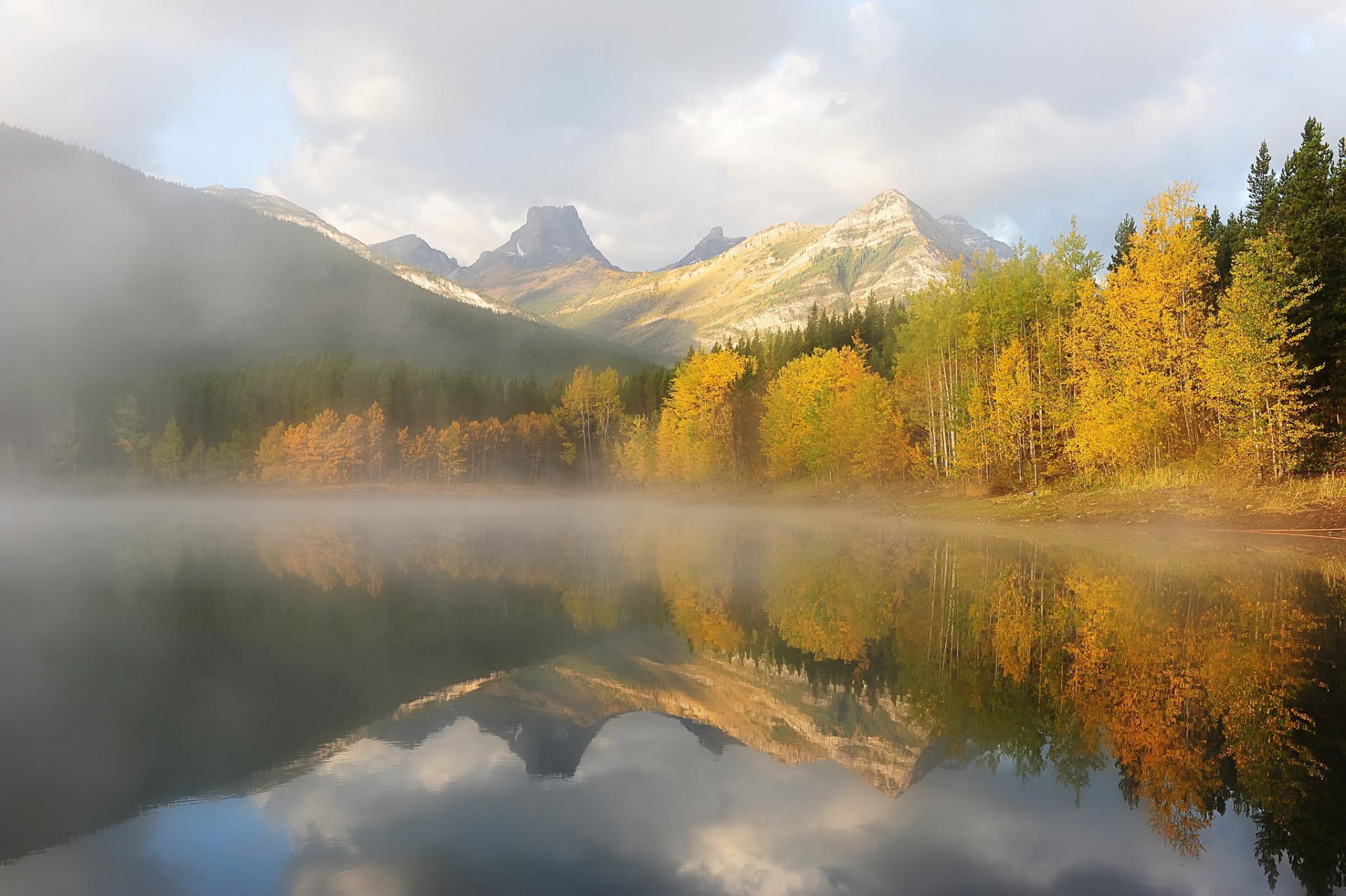 montagnes lac matin brume forêt arbres automne nature