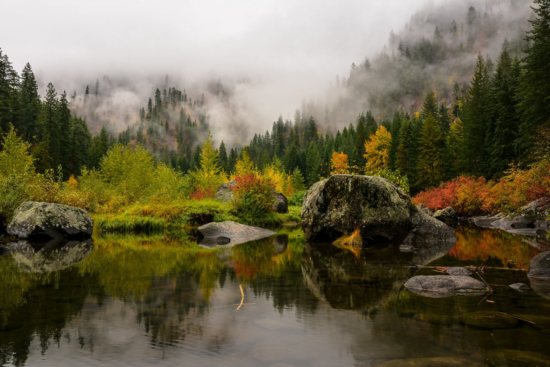 montagnes forêt brouillard arbres lac pierres